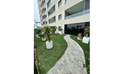 Apartment - Herverkoop - Torrevieja - Punta Prima