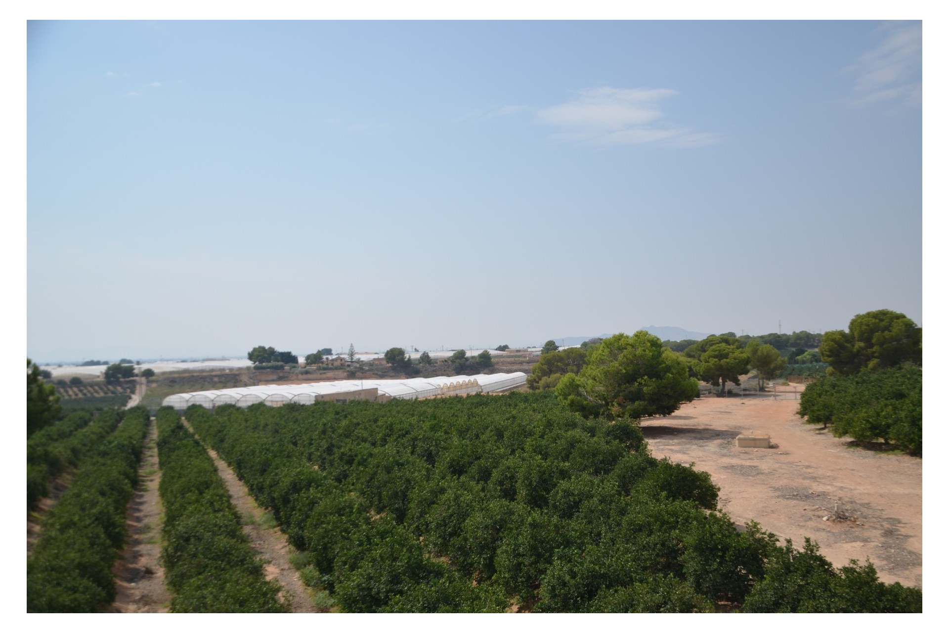 Resale - Villa - Pilar de la Horadada