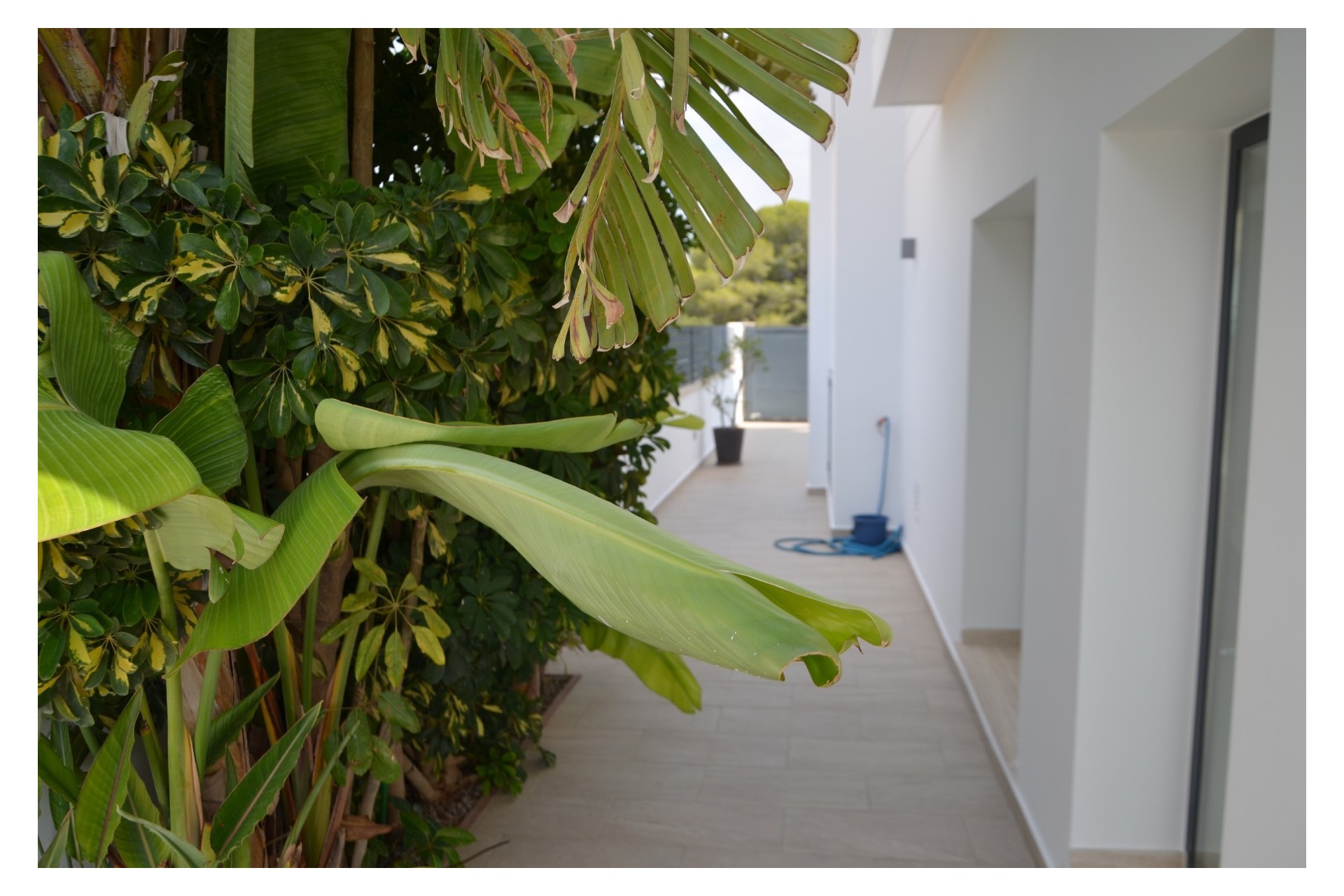 Revente - Villa - Pilar de la Horadada