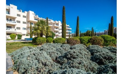 Reventa - Apartment - Orihuela Costa